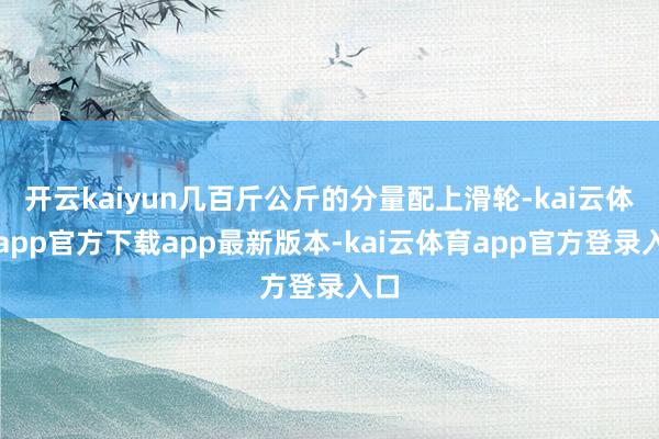 开云kaiyun几百斤公斤的分量配上滑轮-kai云体育app官方下载app最新版本-kai云体育app官方登录入口